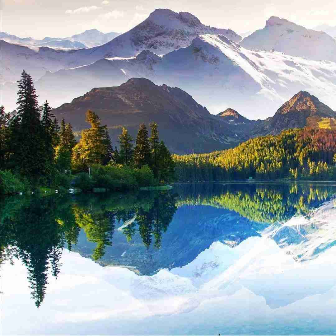 دانلود آهنگ بیا بیا تو بیا طاقت ندارم برای دیدن تو گل چشم انتظارم