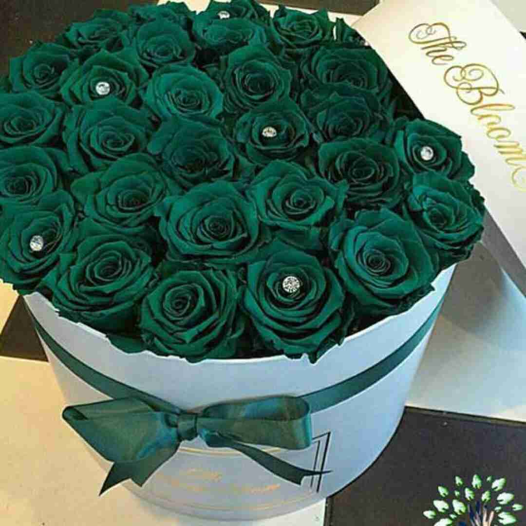 دانلود آهنگ ای بغض پاییزی بگو کی میروی از کوچه ها