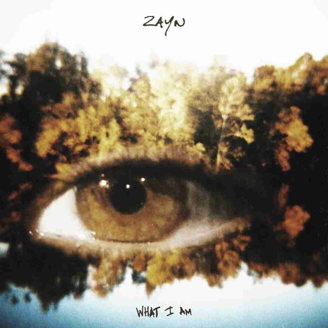 Zayn What I Am