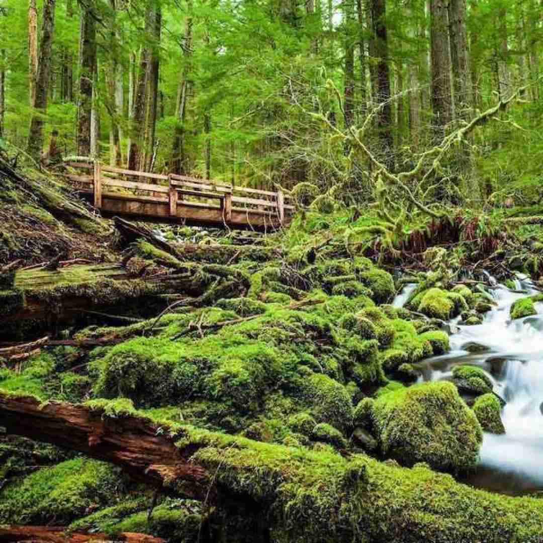 دانلود آهنگ حس می کردم از وجودم زندگی عبور کرد