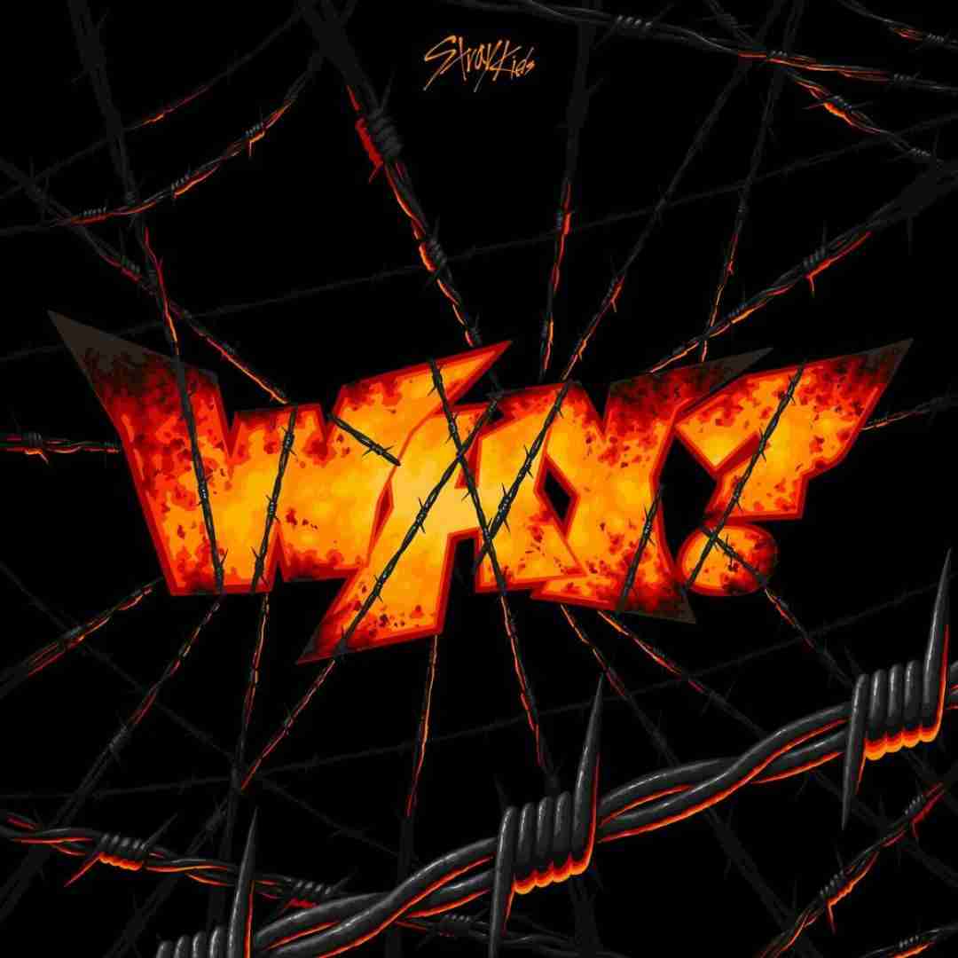 Stray Kids Why?