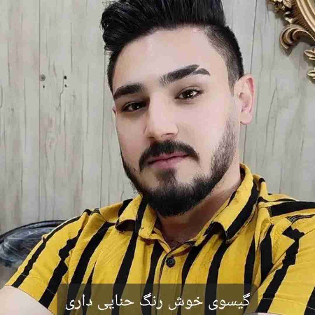 دانلود آهنگ گیسوی خوش رنگ حنایی داری امیر اصلانی