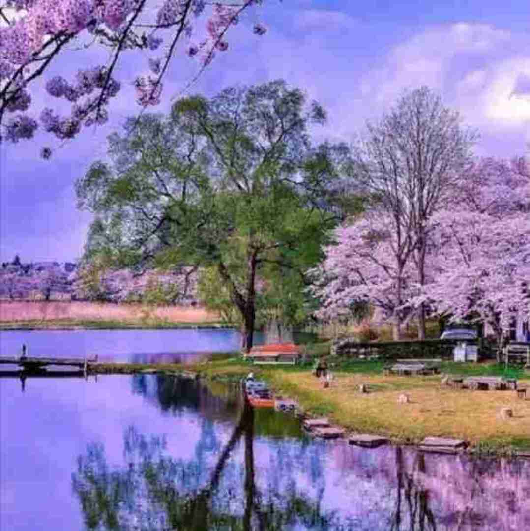 دانلود آهنگ بی تو چقدر اشک بریزم حوصلمو سر ببرم