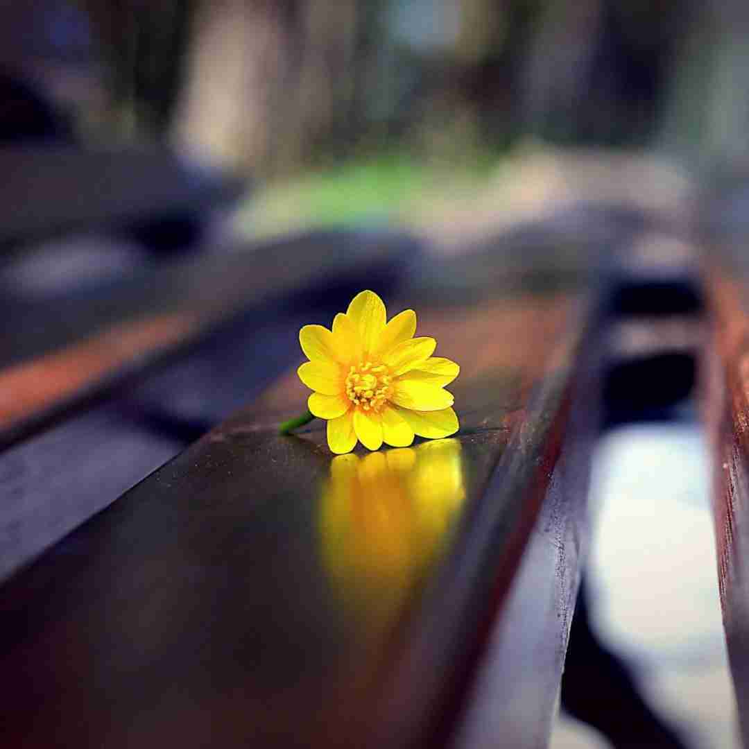 دانلود آهنگ تو بردی خله زود زود زود با صدای مرد با گیتار