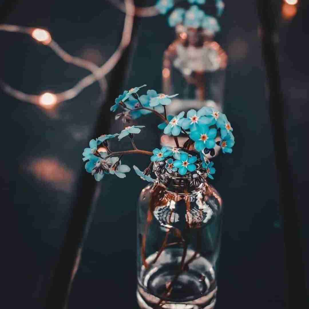 دانلود آهنگ صبا جیم شبا لین بد بیا خرگوشه
