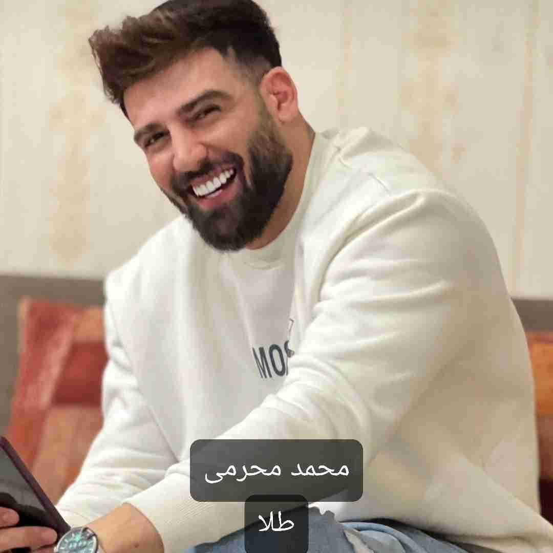 دانلود آهنگ طلا محمد محرمی