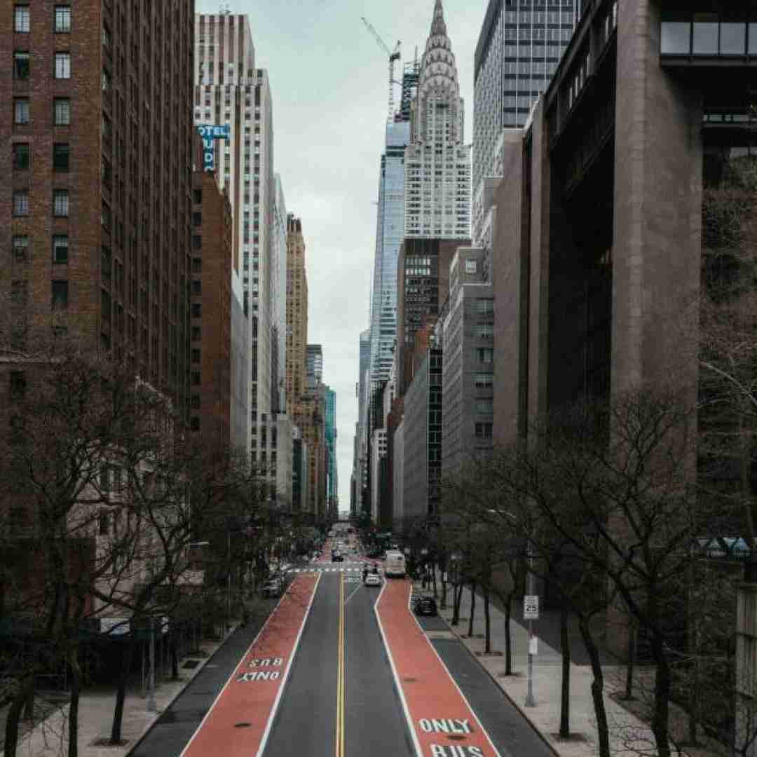 دانلود آهنگ ای شاخه ی پر گل قشنگم چرا تو رو میبینم سرخ میشه رنگم