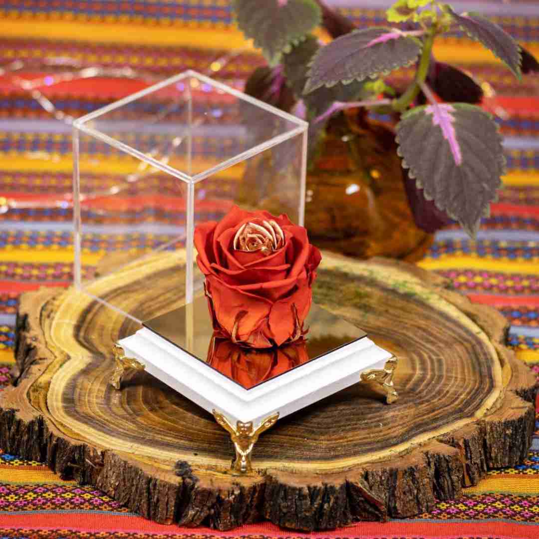 دانلود آهنگ جدیدا همه چی لیمه هر چیزی عیبه