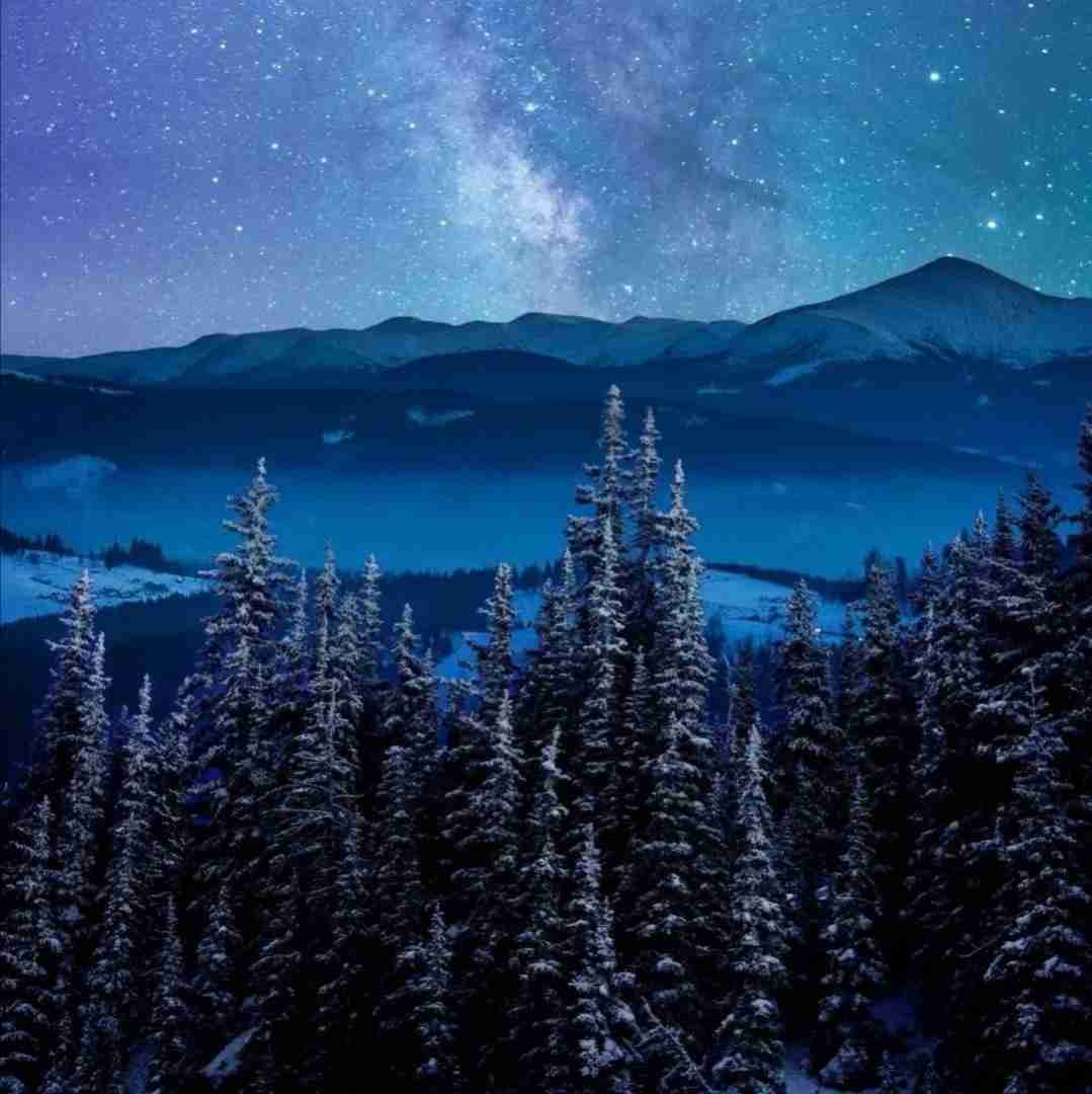 فاطمه عطایی فلک
