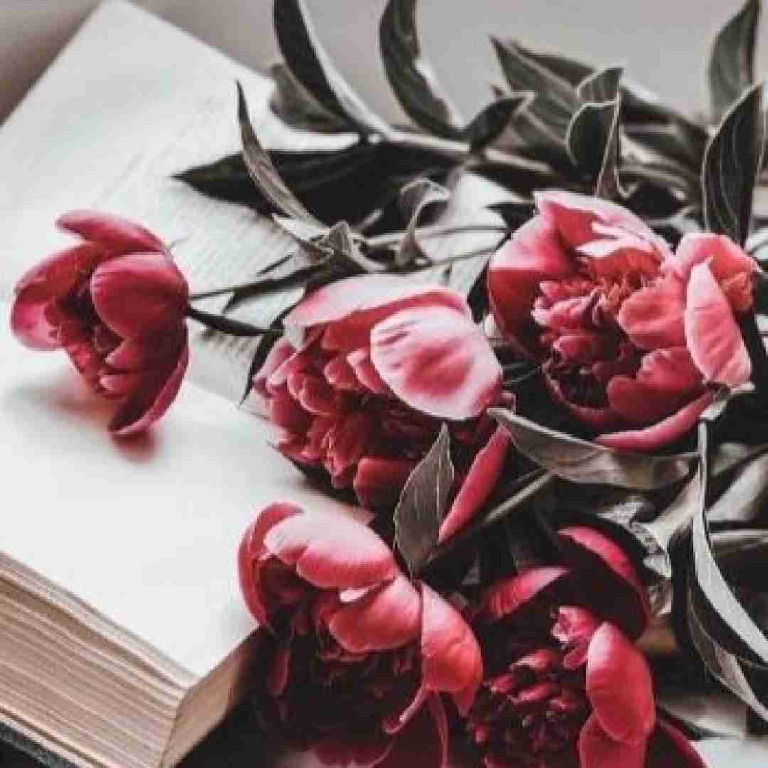 دانلود آهنگ بیا ببر درداشو بی تو خیلی سختشه به کی بده دستاشو