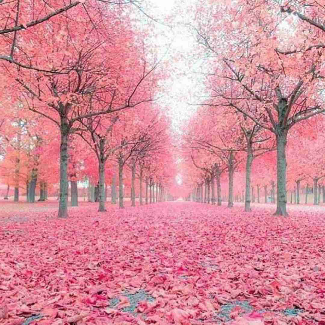 دانلود آهنگ یه حسی میگه بهم این هنسی میکشتم زود