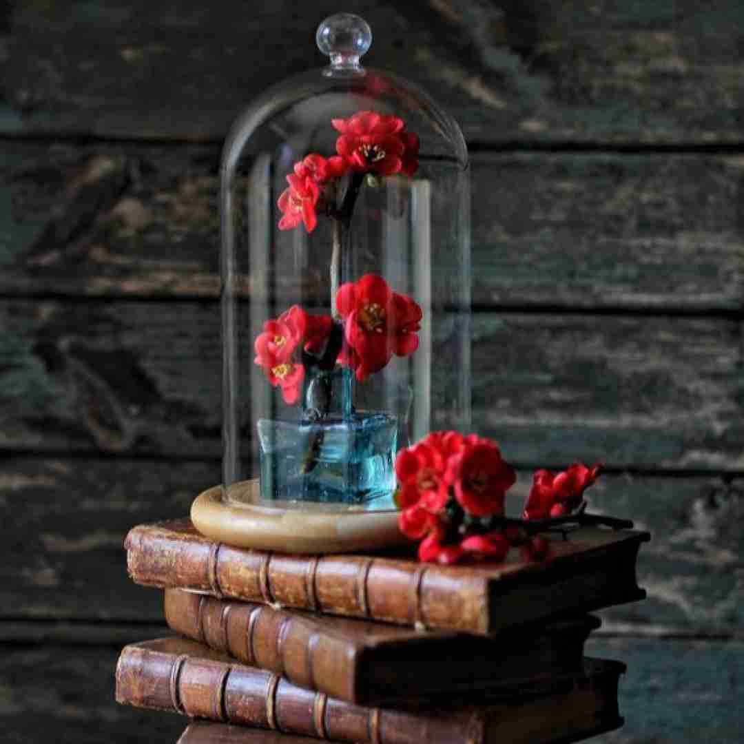 دانلود آهنگ بگید از کش مش هش دروغ نگه دافت با یه شارژ ایرانسل فروختت
