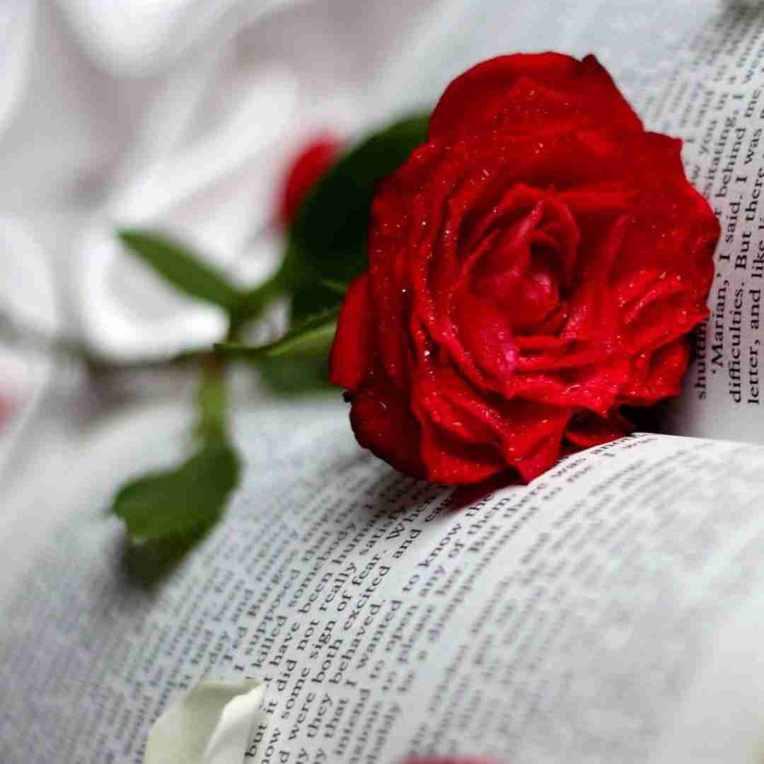دانلود آهنگ بچه اومد با یه ست تابستونی فکش عملیه