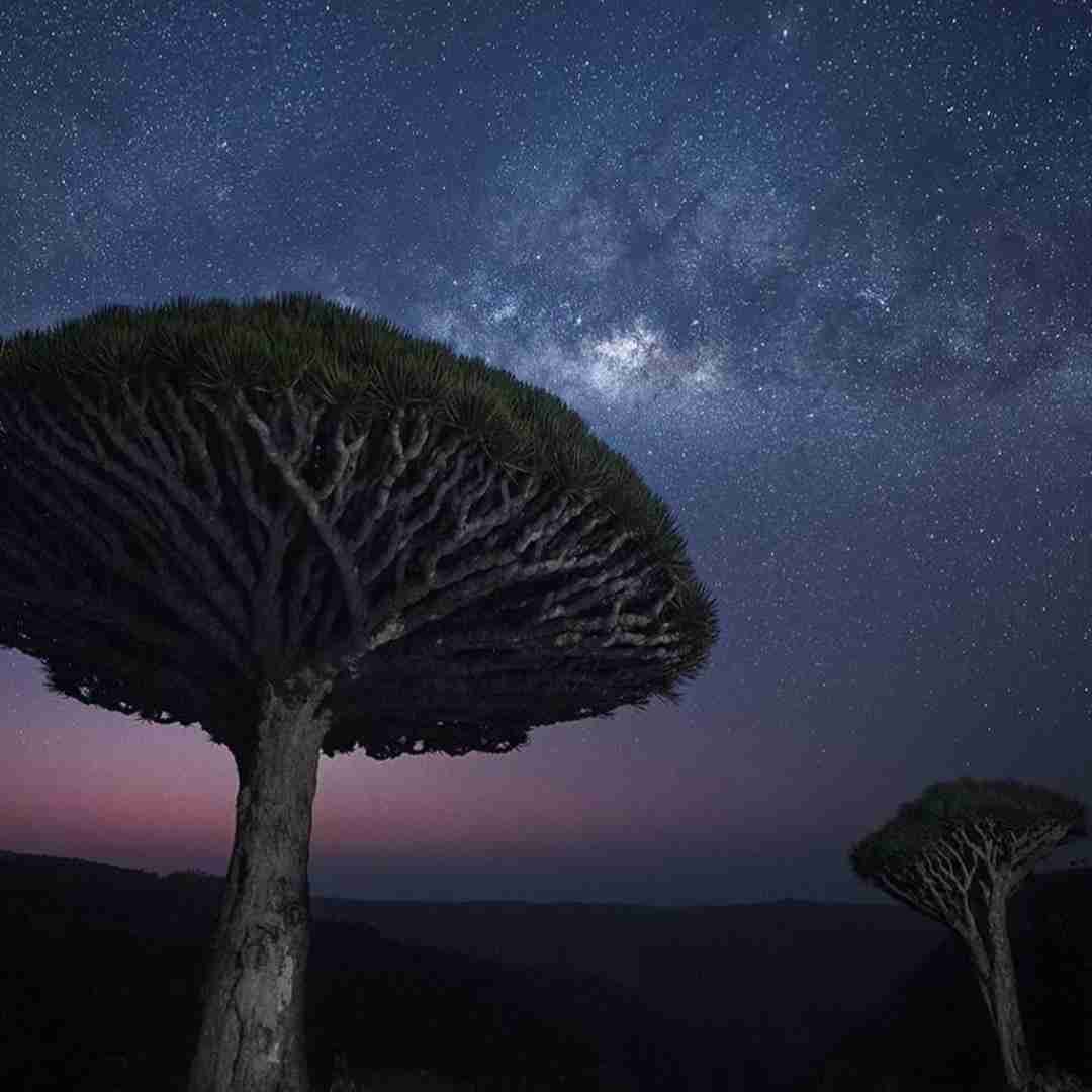 دانلود آهنگ حالا میگن همه راست میگن همه