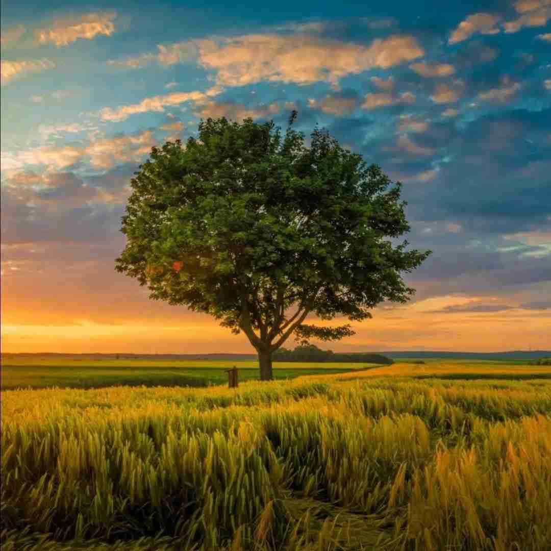 دانلود آهنگ تو میخوای قدرمو پس کی بدونی یه روزی خاک میگیره