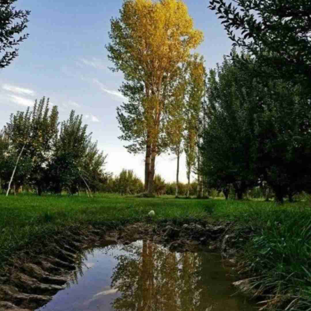 دانلود آهنگ هر بچه کطی آیفونی داری گو‌ آیفونکا برزن بازاری