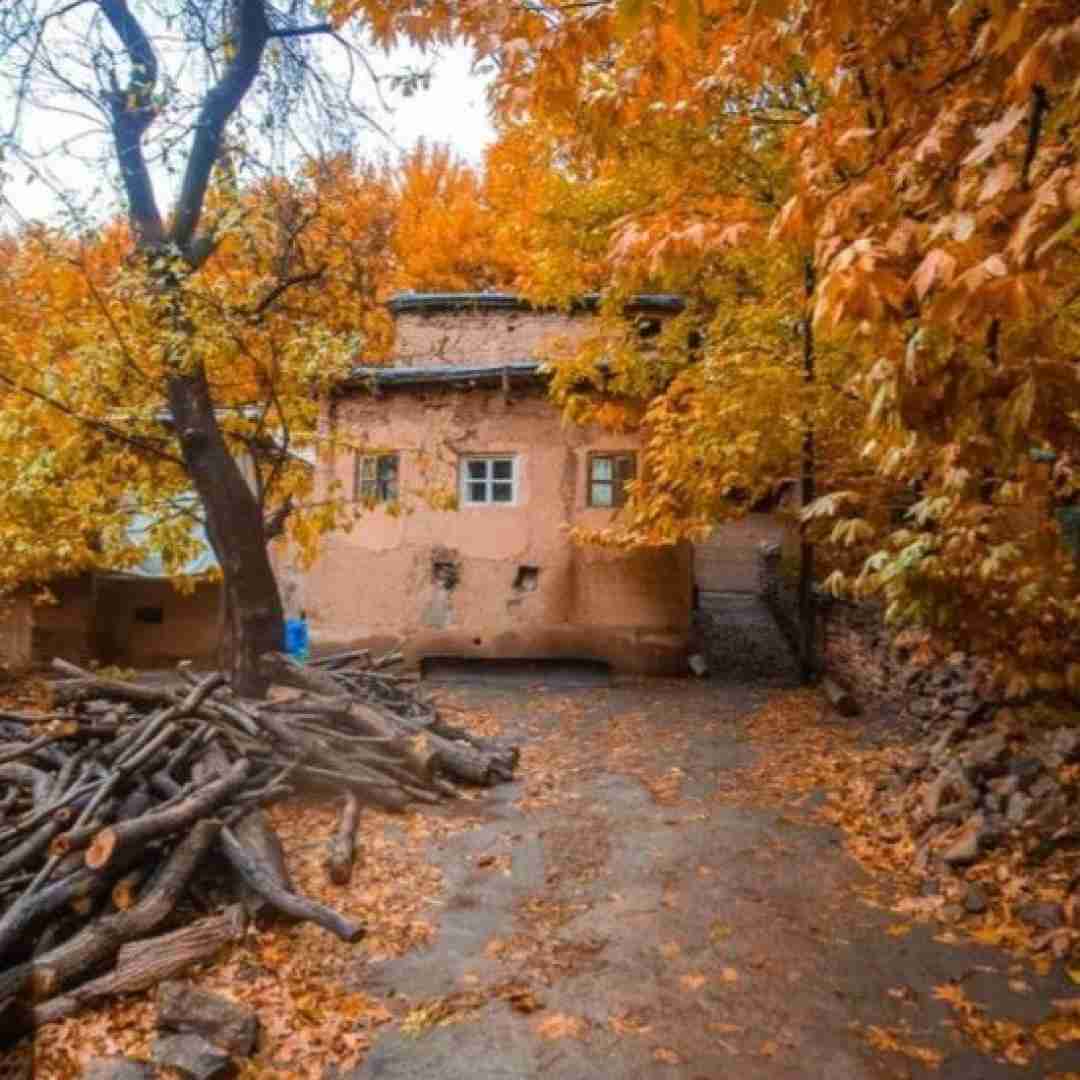 دانلود آهنگ زید بازی دیگه جواب نمیده میپرسین چرا