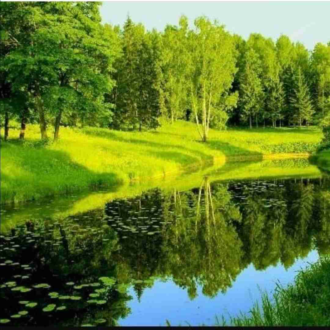 دانلود آهنگ تازه میخواستم اخلاقای گندم و پس بگیرم تموم شد