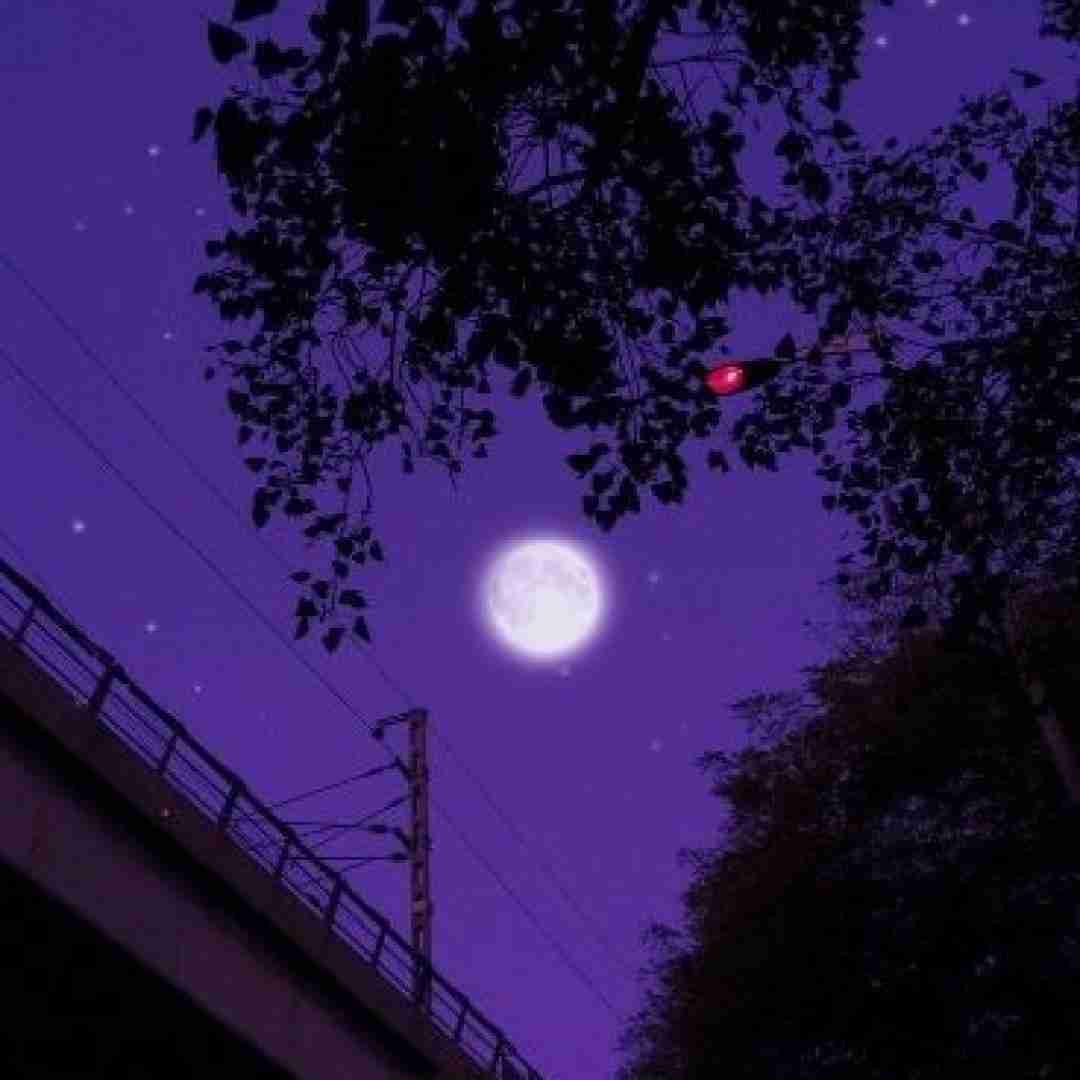 دانلود آهنگ یه نگاه بنداز به ستاره ها شب مهم نیست اگه تراولا رفت