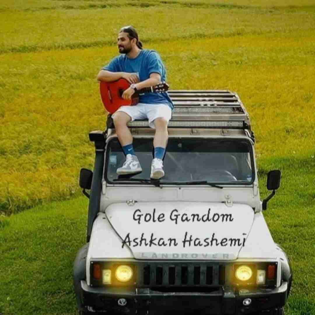 دانلود آهنگ گل گندم اشکان هاشمی