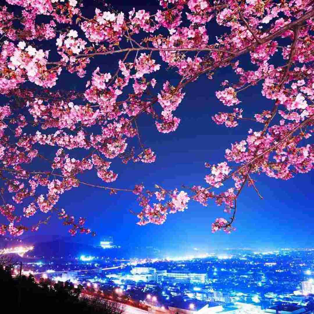 دانلود آهنگ آهای شاگرد زرنگه به من بگو چه رنگه