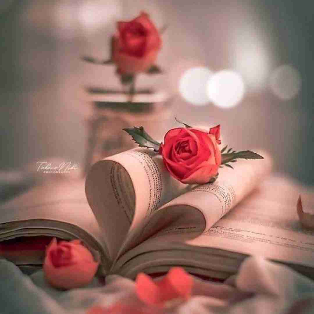 دانلود آهنگ شده ترسناک همه چی بین ما دو دلم باهات