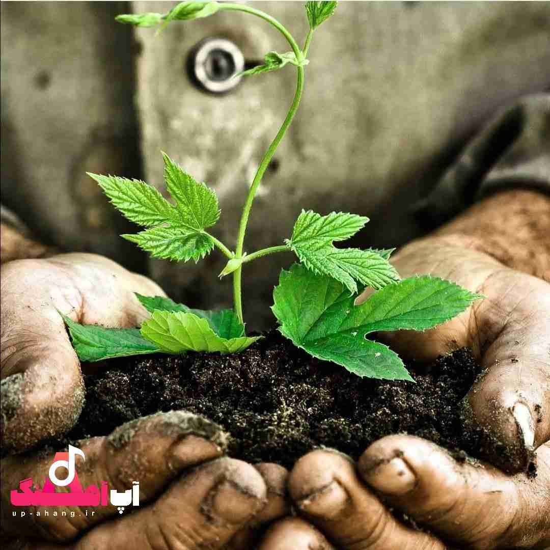 دانلود آهنگ بدون تو دنیا برام مث زندونه میگن کیف کوکه