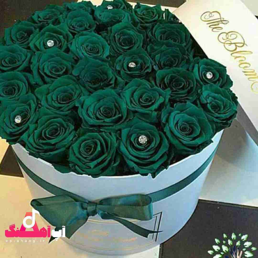 دانلود آهنگ قرص من اون چشم پر از بغض توئه دل من تنگ