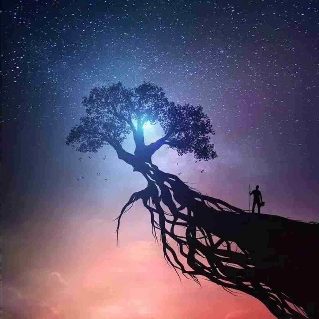 دانلود آهنگ شیراز با کی مست دیدنت نی شانتاژی مست دیدنت