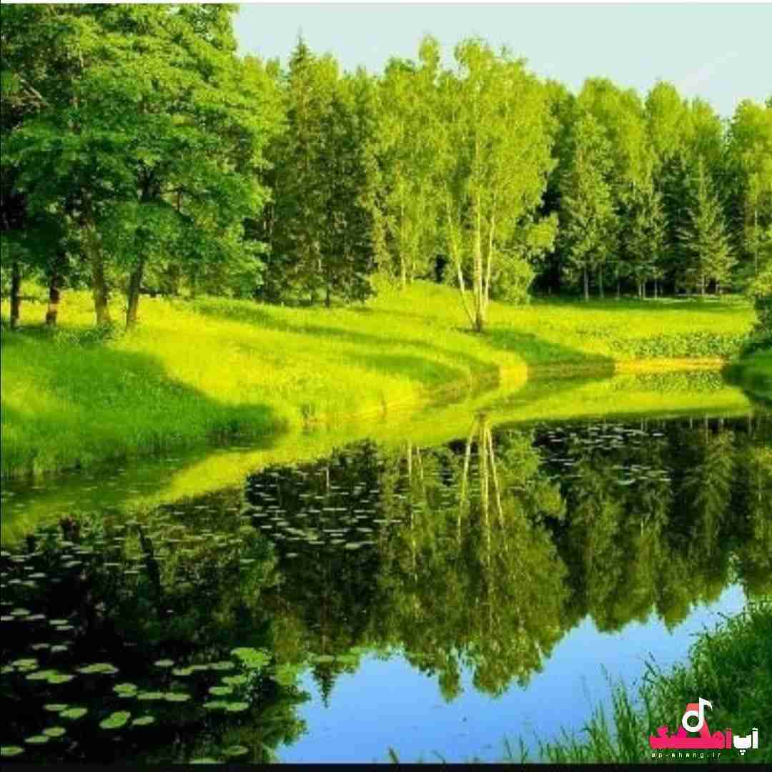 دانلود آهنگ کی میگیره جاتو نفست نفسمو تنگ میکنه