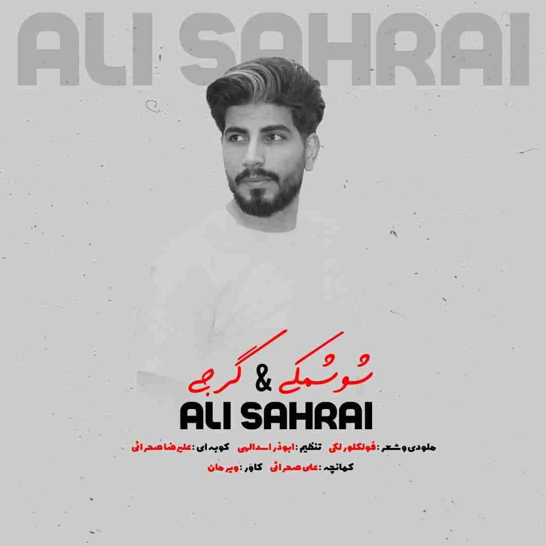 علی صحرایی شوشمکی و گرجی