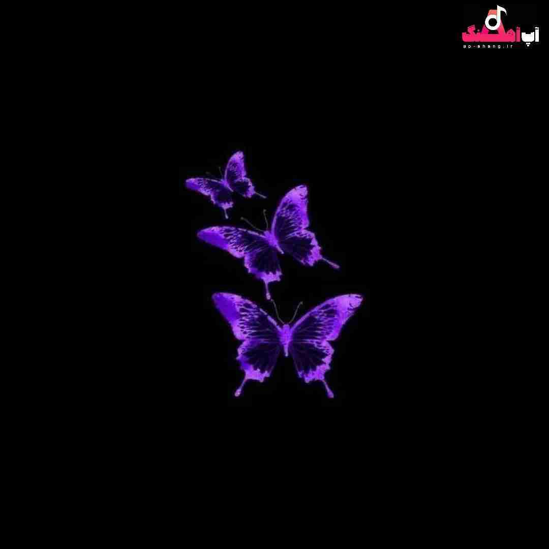 دانلود آهنگ حالا که پیاله دستمه دنیا به ناز شستمه