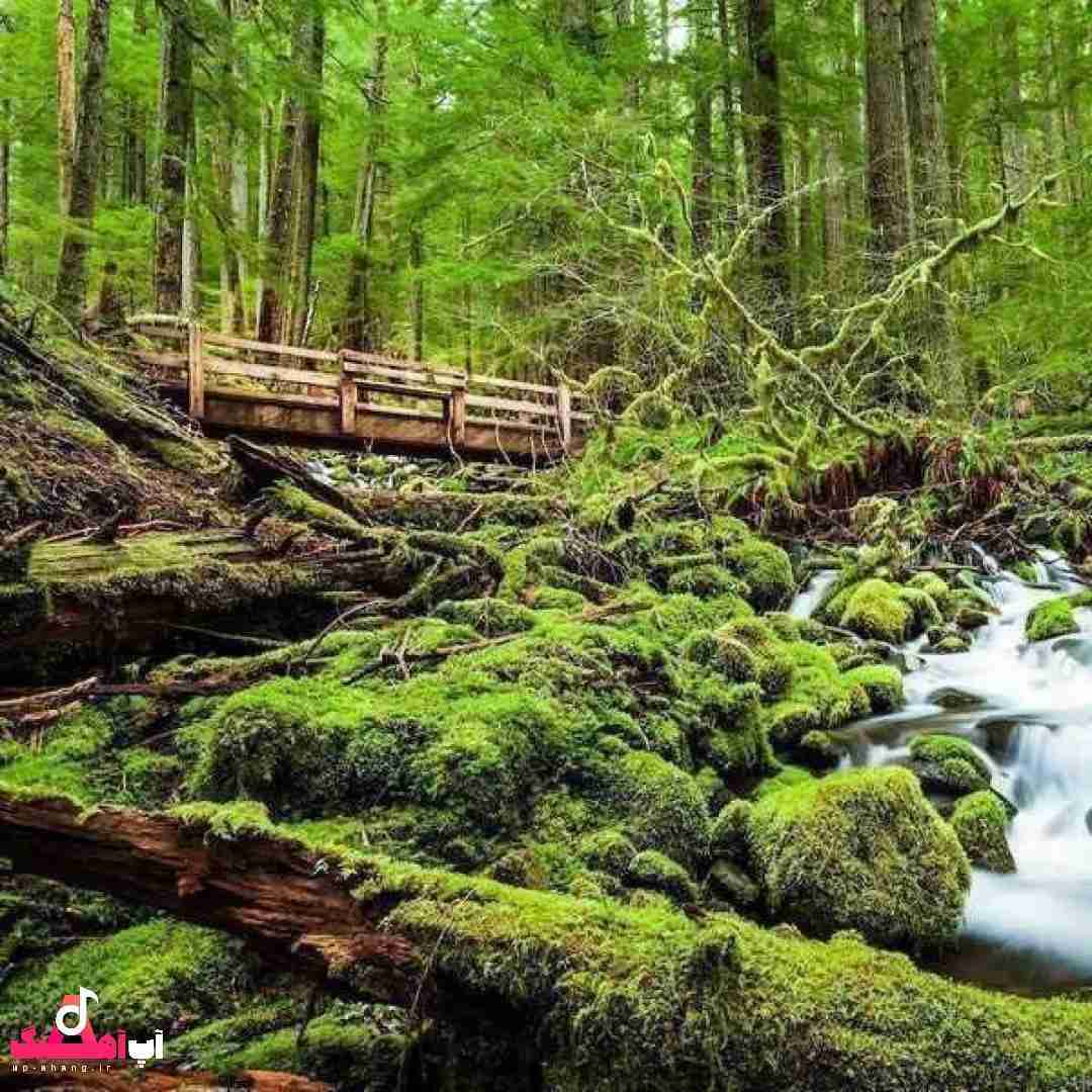 دانلود آهنگ گفتی بعد تو با هیشکی نمیرم ولی اگه بری یه آشغالی