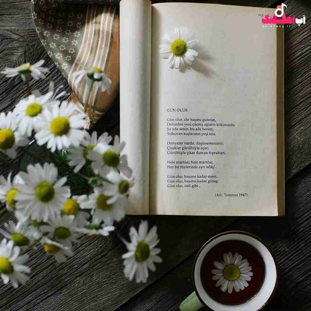 دانلود آهنگ زندگی چیه جز دو تا دوست غذا و سفر خوب