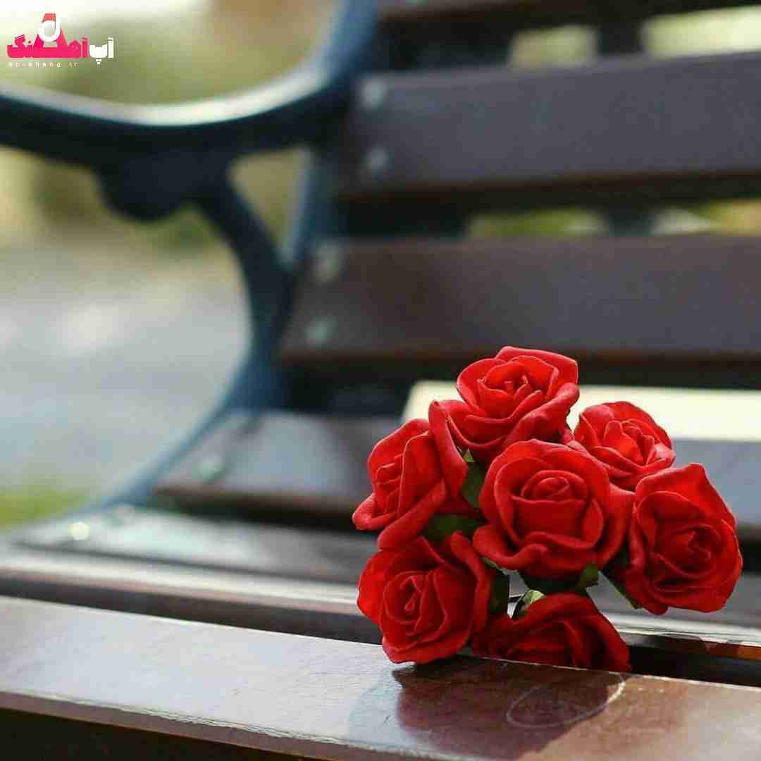 دانلود آهنگ من عاشق تر از پیشم دارم عاشق ترم میشم