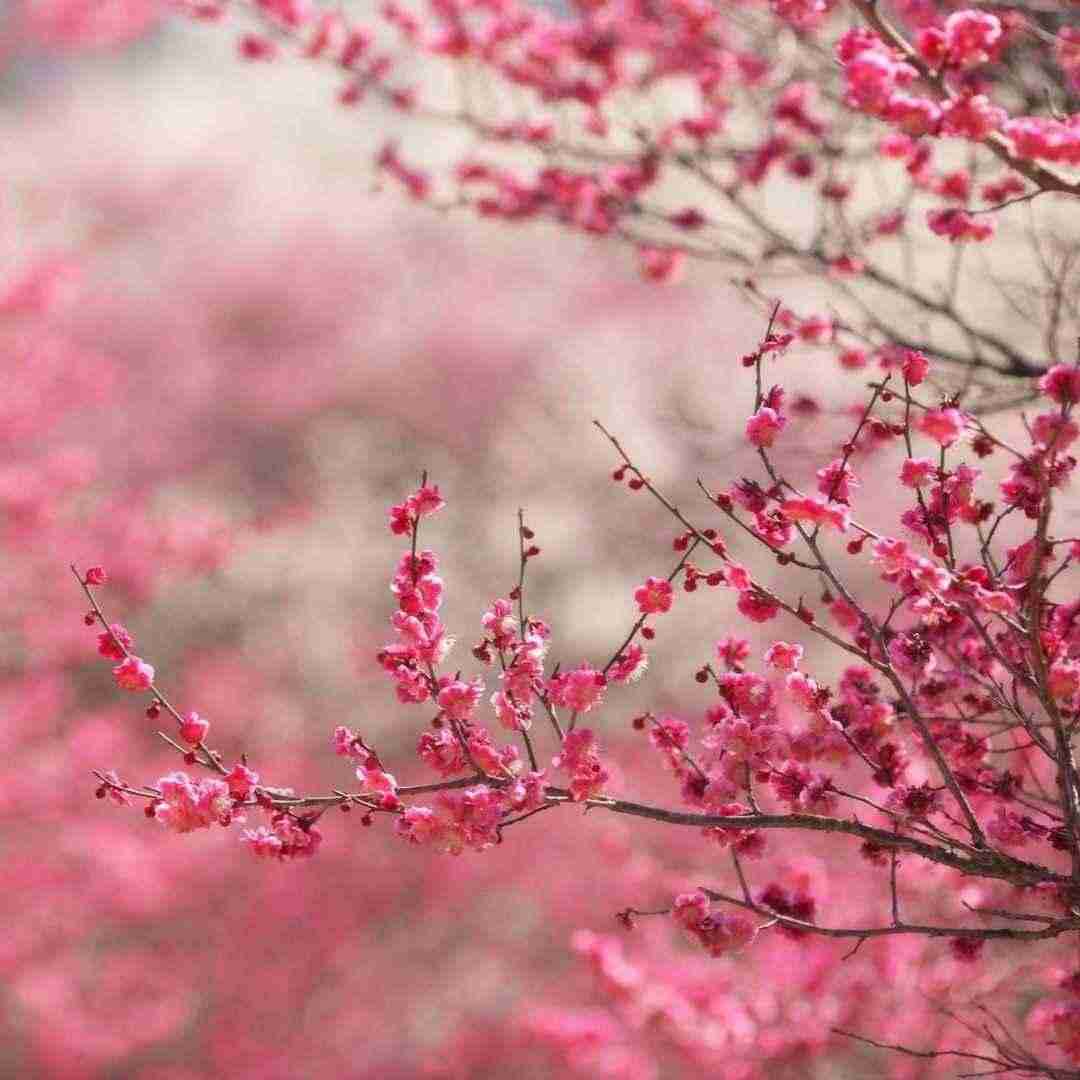 دانلود آهنگ به فکرتم هرجا تو نور باش من سایه ات