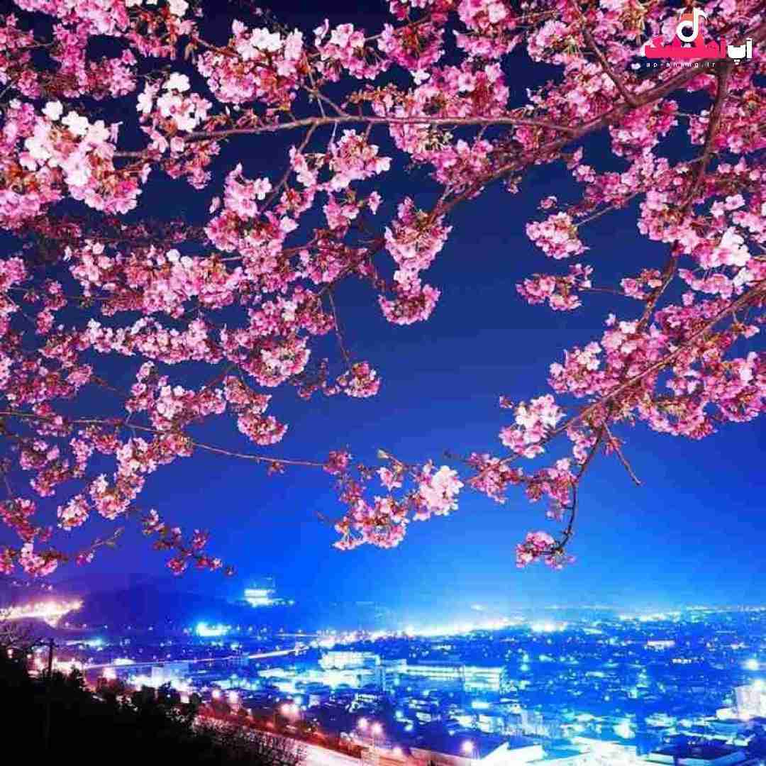 دانلود آهنگ از عمد نکن چشامو پر اشک به من به تو حسوده کل شهر