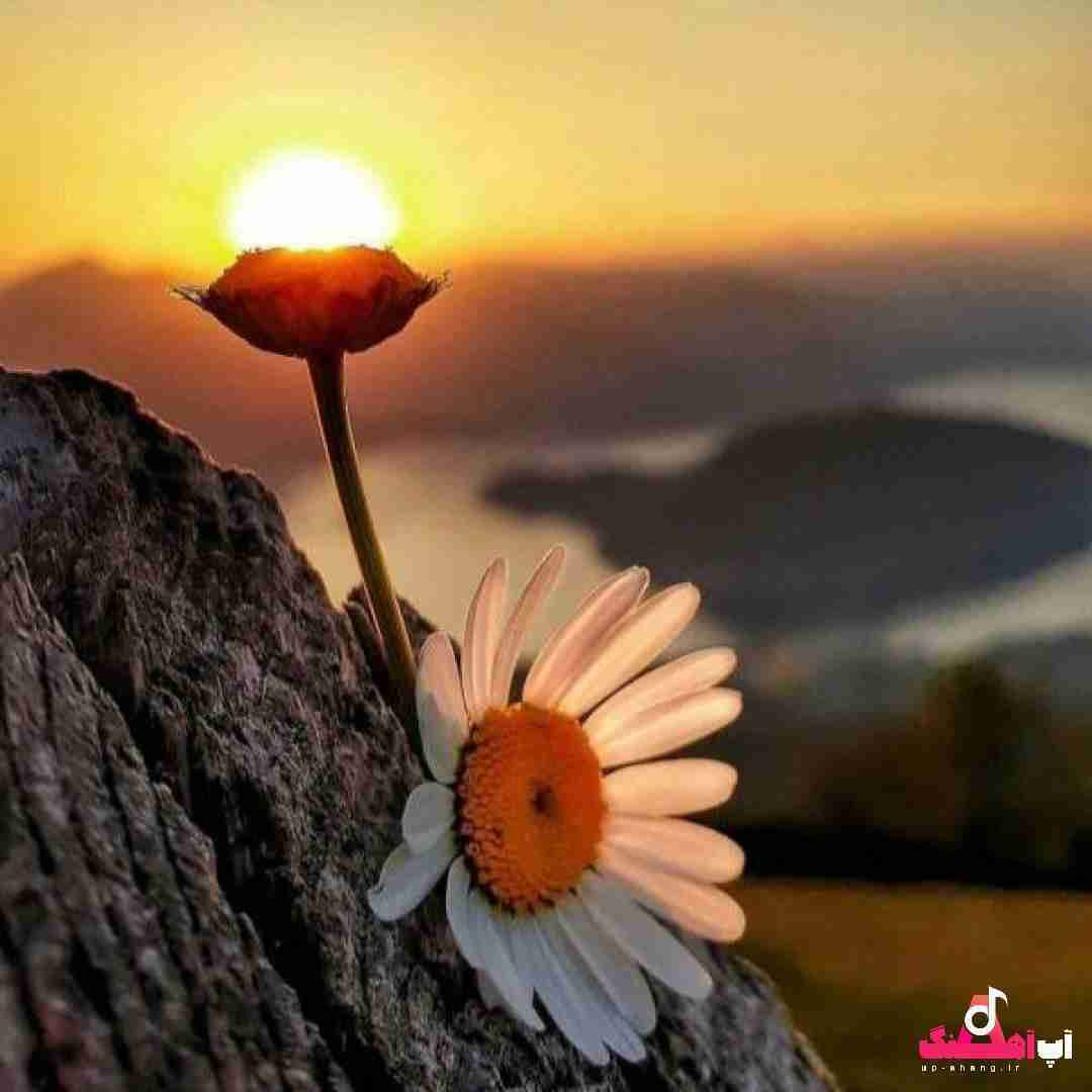 دانلود آهنگ ای بی پلنه ای بری باخ نوک نیپل تیز مثل هرمه