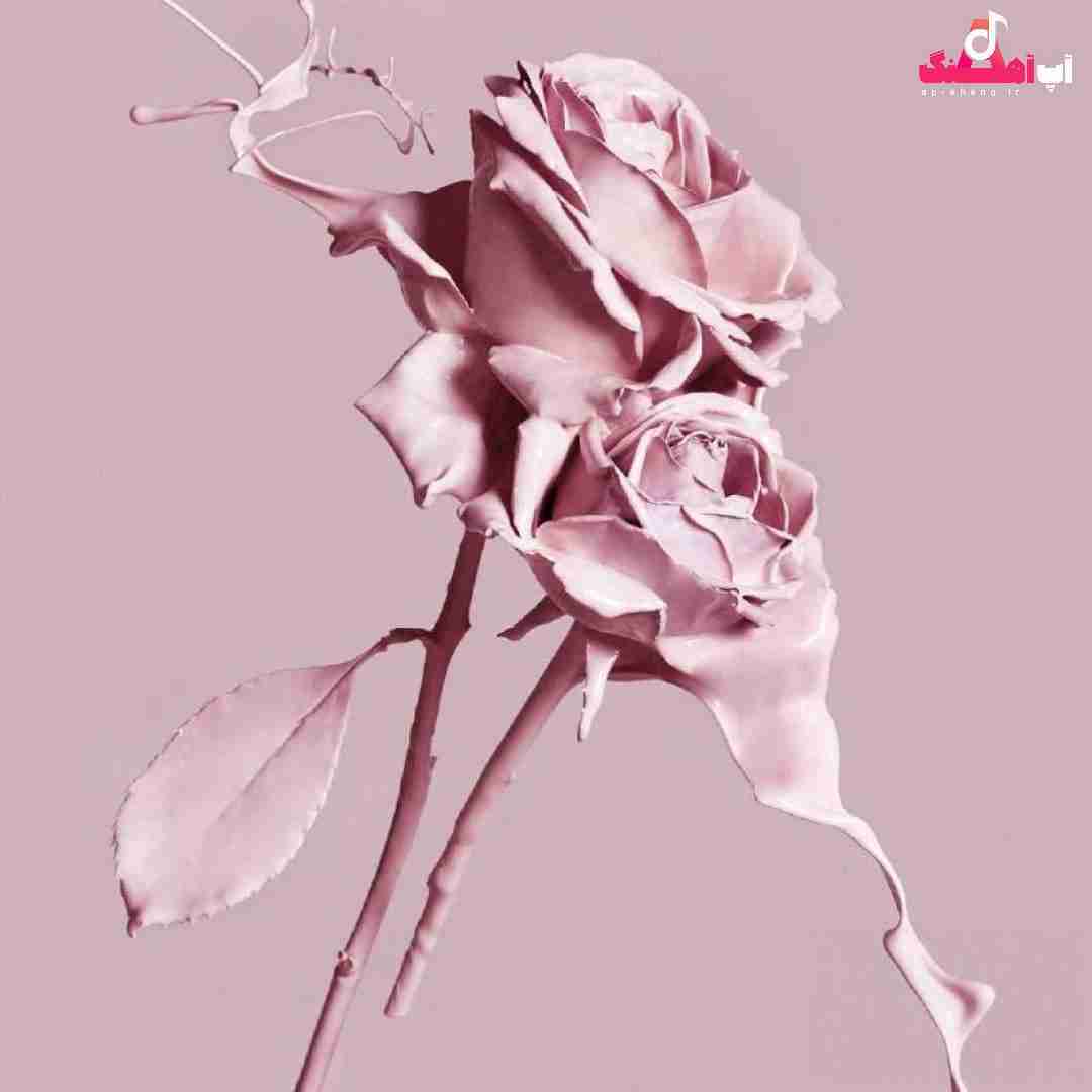 دانلود آهنگ امیری فیک کنسله اسکی از رو دریک کنسله