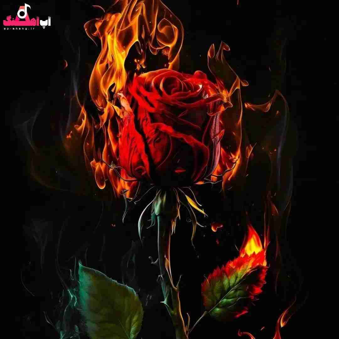 دانلود آهنگ صدات میزنم مثه روز اول ردت مونده واسه همیشه