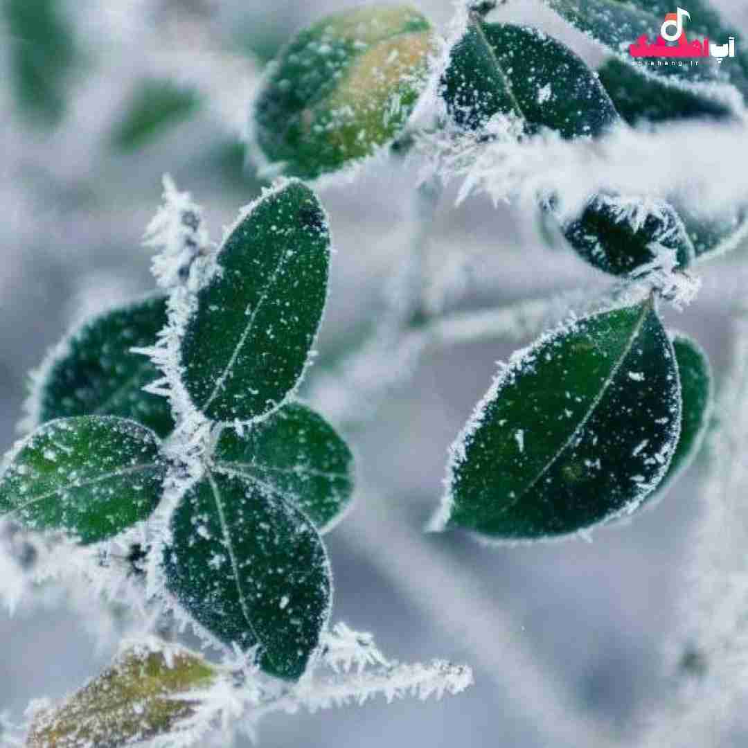 دانلود آهنگ مونده یادم من بدیتو هیچوقت یادم نرفت