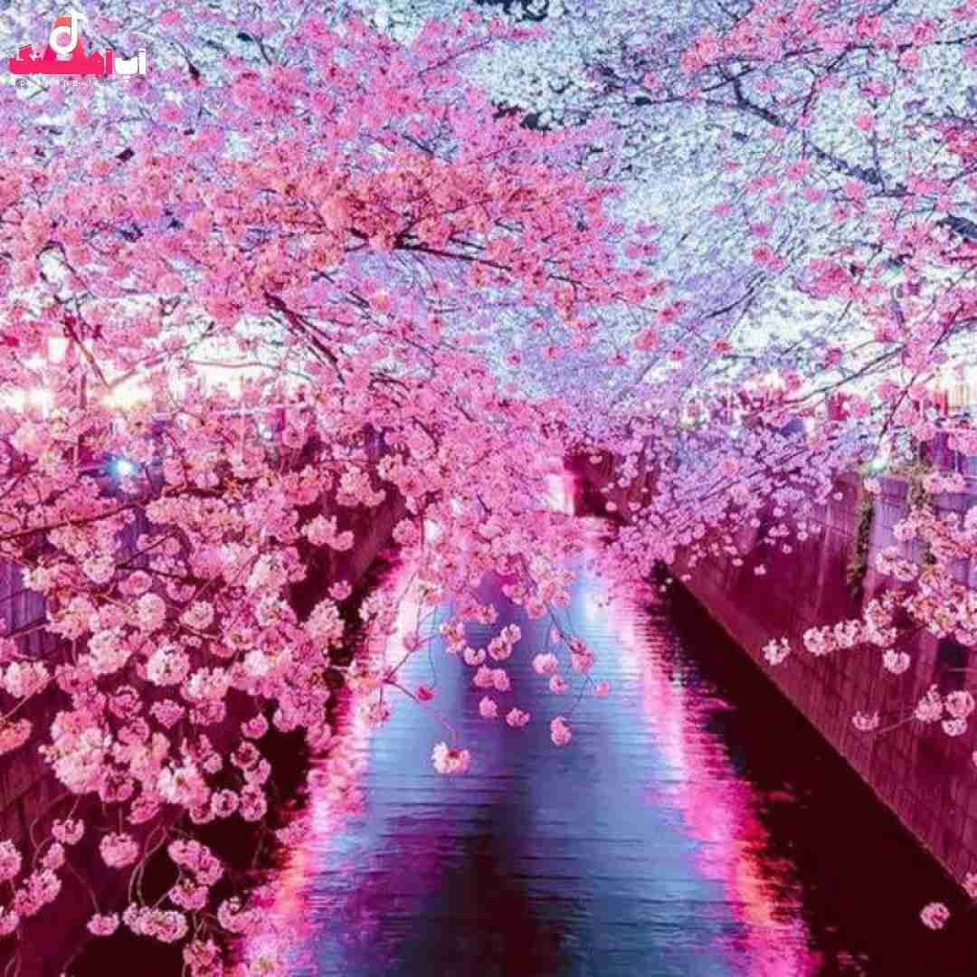 دانلود آهنگ داداش کوچیکه حواستو جمع کن