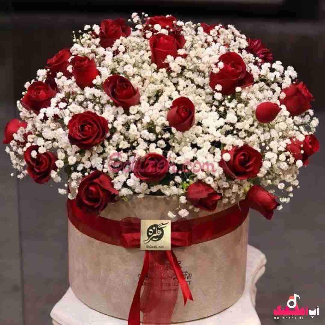 دانلود آهنگ دستامو ول کرده شاید تا یاد بگیرم پروازو خوب