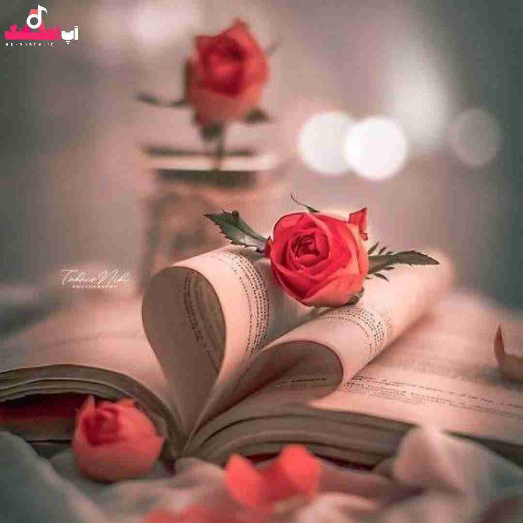 دانلود آهنگ جوونی دل مرده منم منم گل بارون خورده منم منم