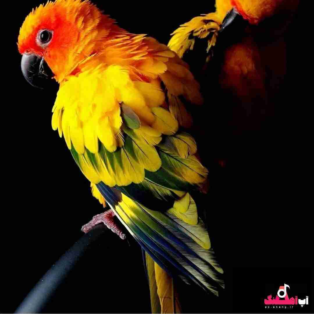 دانلود آهنگ رفتی و بعد عمری نامه برام نوشتی