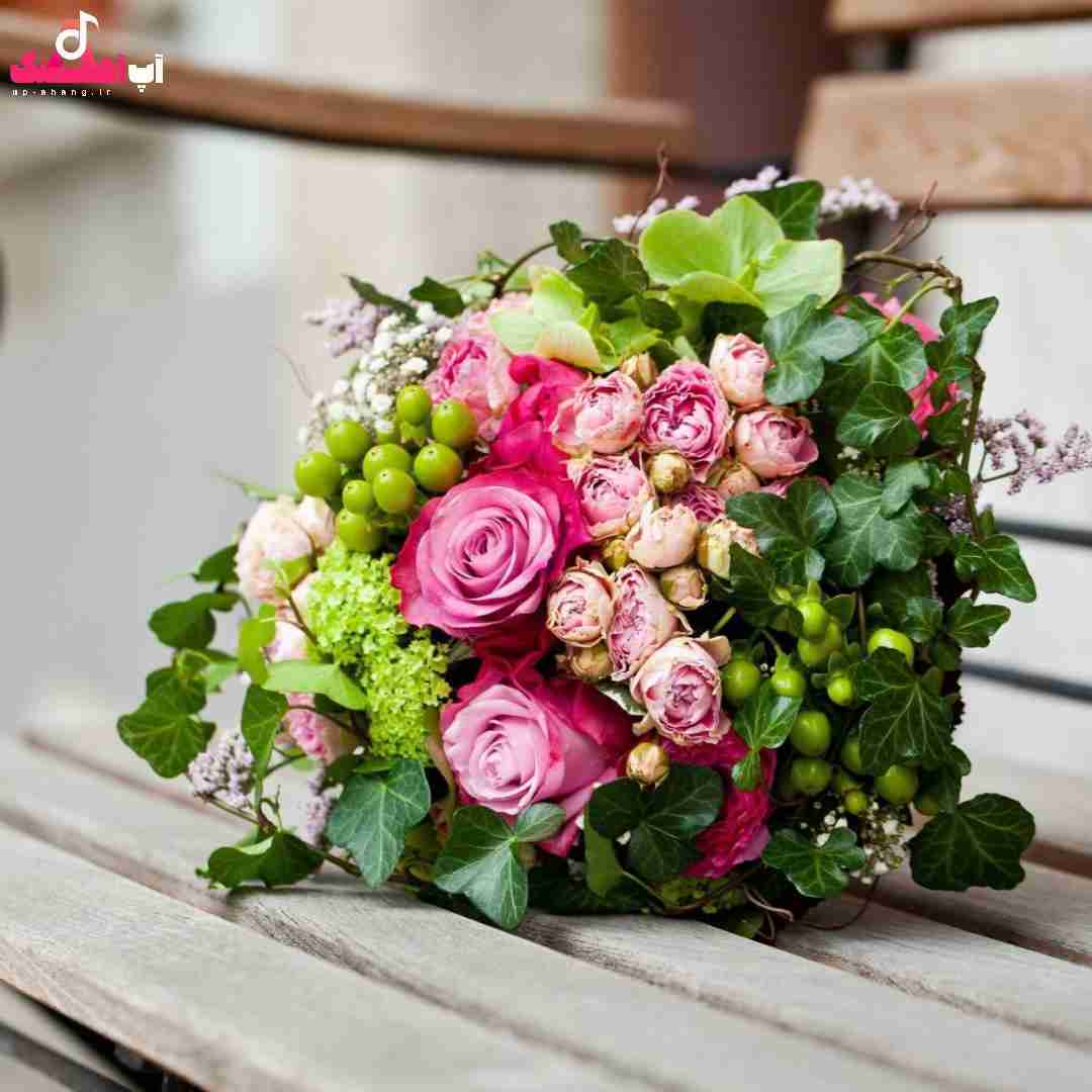 دانلود آهنگ زندگیم شدش دراگ افتادم تو منجلاب