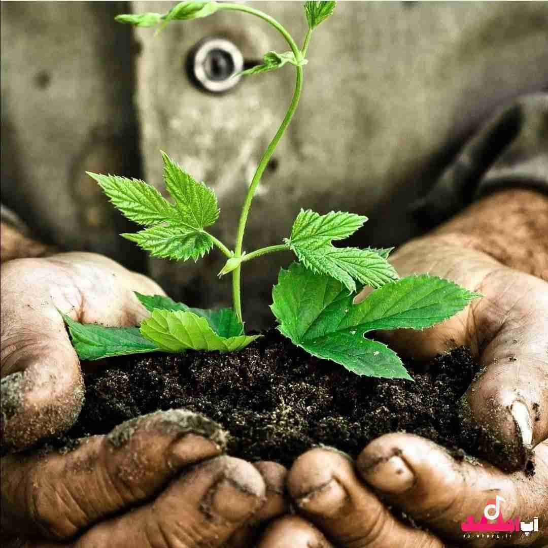 دانلود آهنگ ببین منو ببین منو چرا دیگه سمتم نمیاد حتی نگاهت