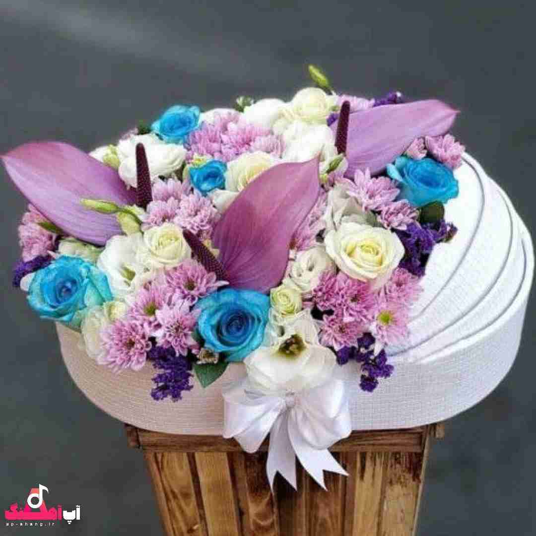 دانلود آهنگ برگا همه میریزن و فصلا میرن ولی نرفت از یاد هنوز