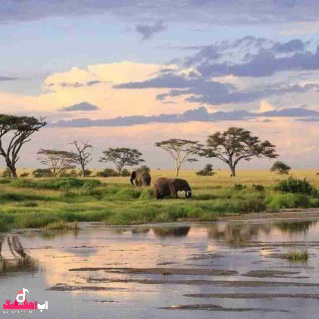 دانلود آهنگ یک به یک تن به تن چقد چغر شدم چقد بد بدن