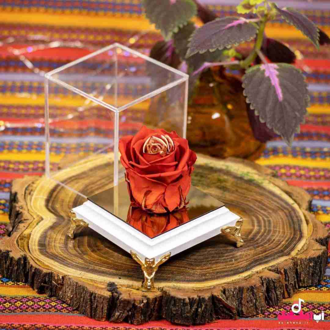 دانلود آهنگ ریختن تو حیاط با رختای آبی و گلی